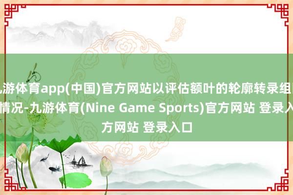 九游体育app(中国)官方网站以评估额叶的轮廓转录组图谱情况-九游体育(Nine Game Sports)官方网站 登录入口