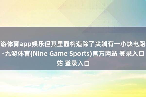 九游体育app娱乐但其里面构造除了尖端有一小块电路板-九游体育(Nine Game Sports)官方网站 登录入口